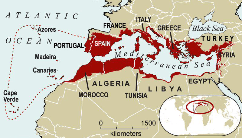 Mediterranean Map